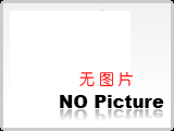 中聯(lián)重科
